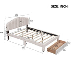 Lit plateforme capitonné Queen Blanc/Beige/Gris avec lumières LED, ports USB et tiroir de rangement – 2 personnes